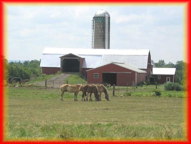 Mussleman Landscape4